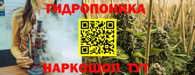 индика Мариинск