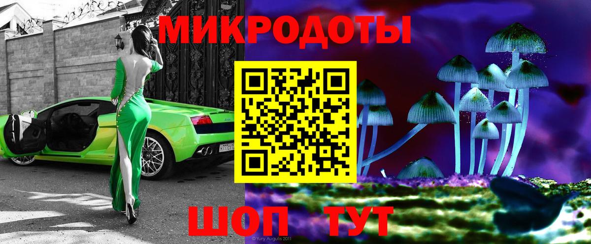 Псилоцибиновые грибы MAGIC MUSHROOMS  Псилоцибиновые грибы MAGIC MUSHROOMS  Вход с VPN  Серов 
