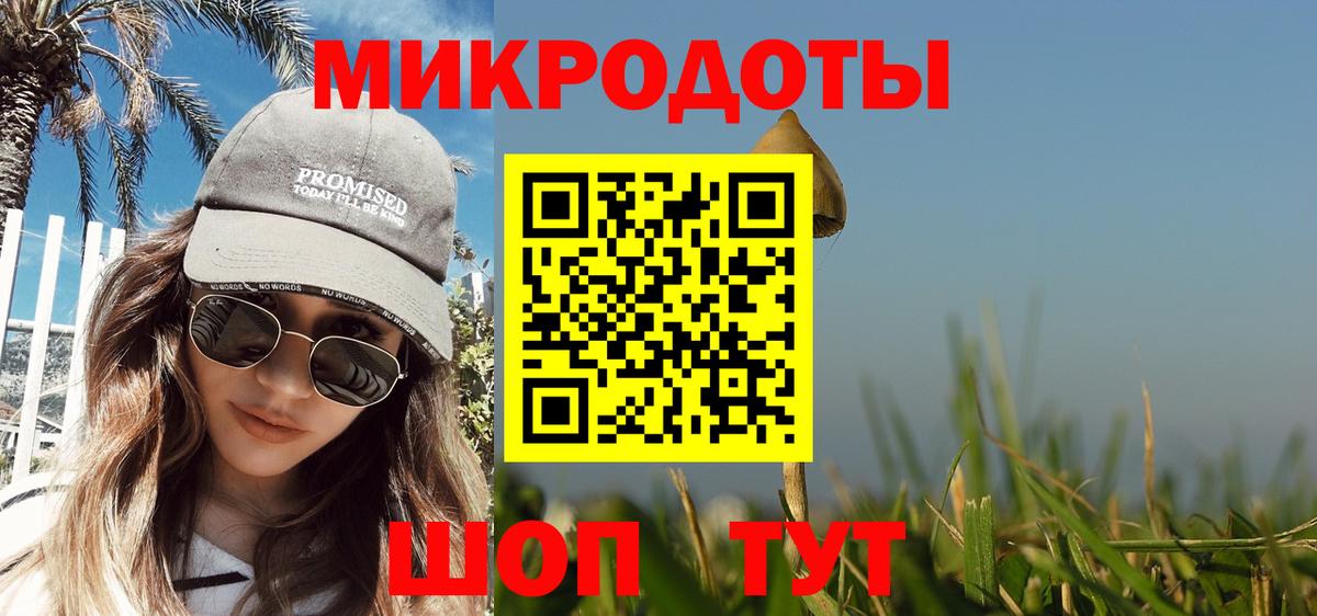 Псилоцибиновые грибы Psilocybe Серов